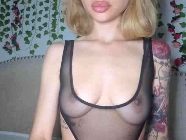 Xoxcat webcam