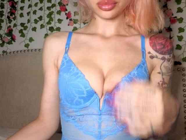 Xoxcat webcam