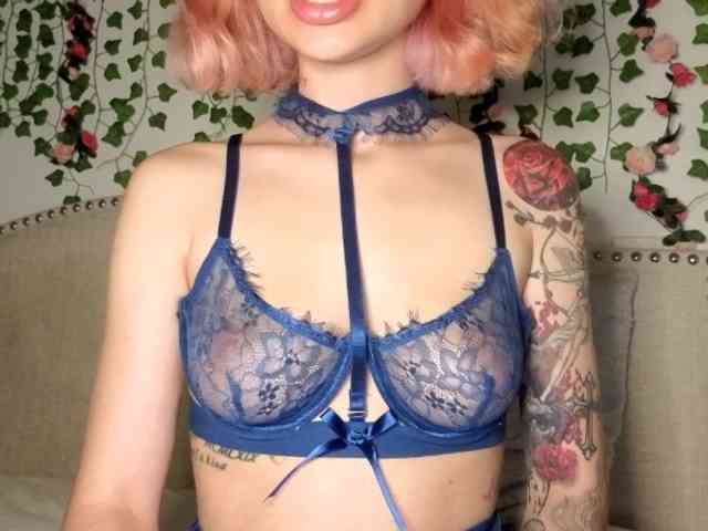 Xoxcat webcam