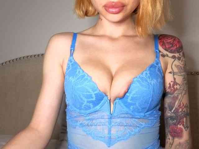 Xoxcat webcam