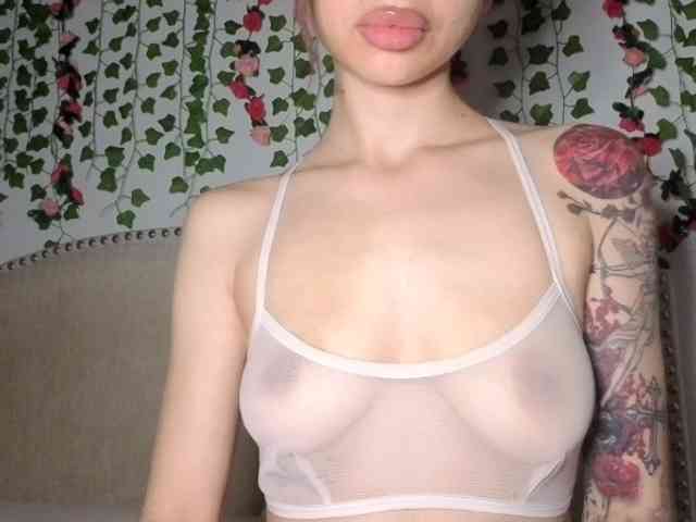 Xoxcat Xoxcat