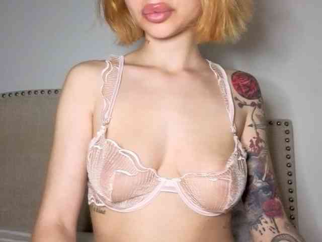 Xoxcat webcam