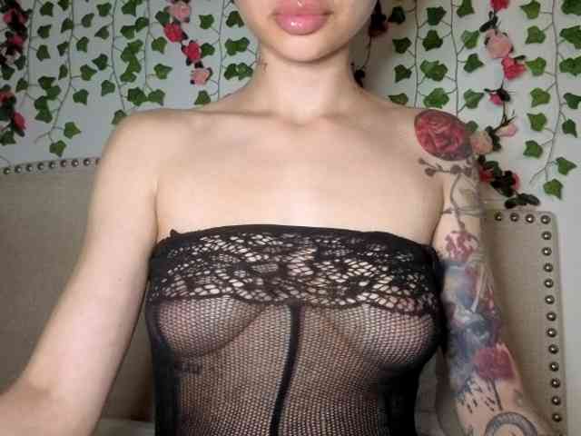 Xoxcat webcam