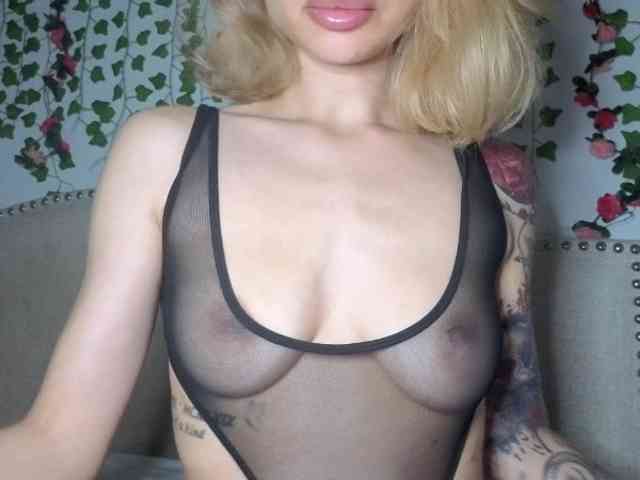 Xoxcat webcam