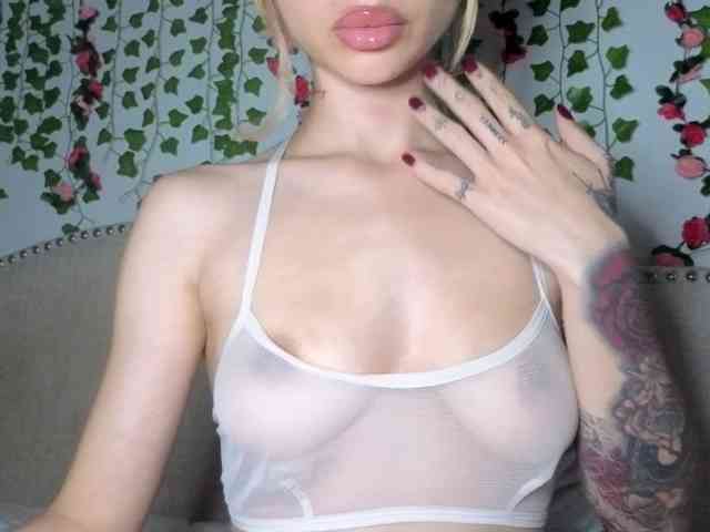 Xoxcat