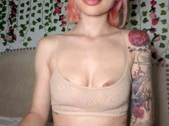 Xoxcat