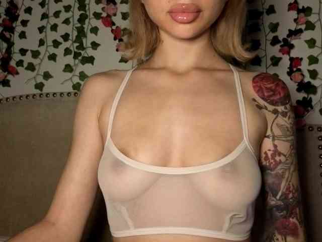 Model: Xoxcat
