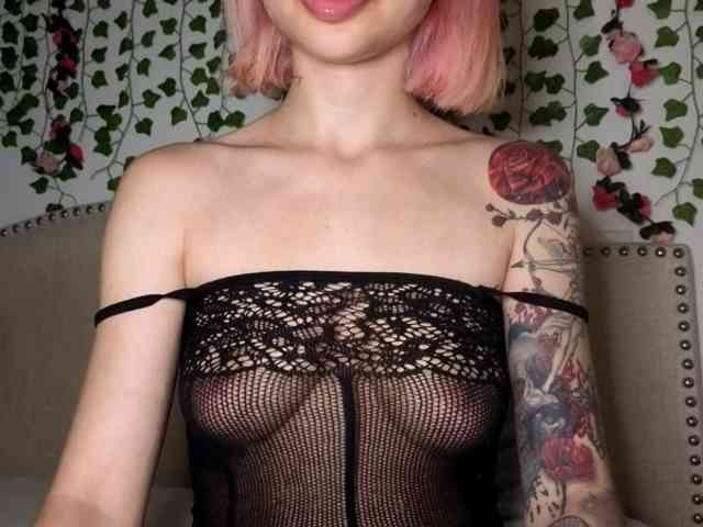 Xoxcat webcam