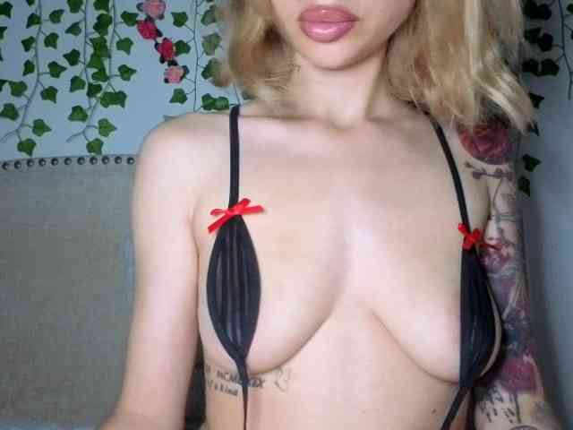 Xoxcat webcam