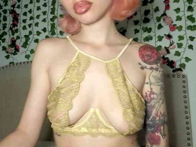 Xoxcat webcam