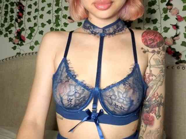 Xoxcat webcam