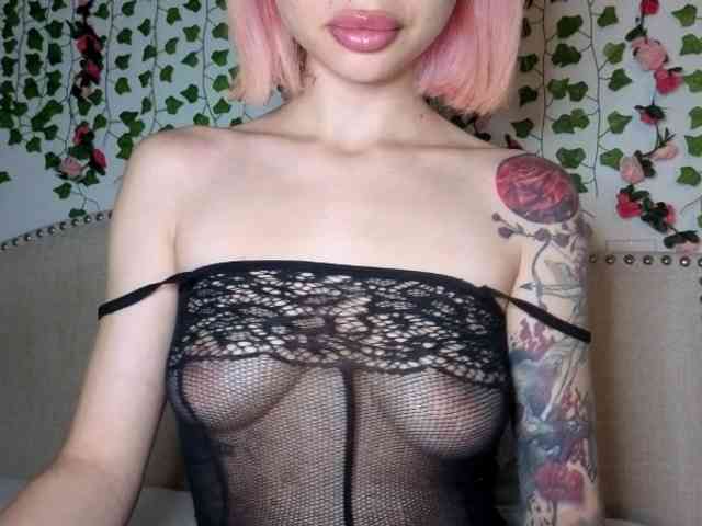 Xoxcat webcam