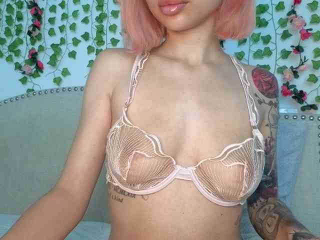 Xoxcat webcam