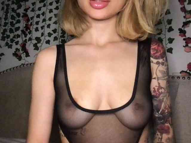 Xoxcat's webcam live show