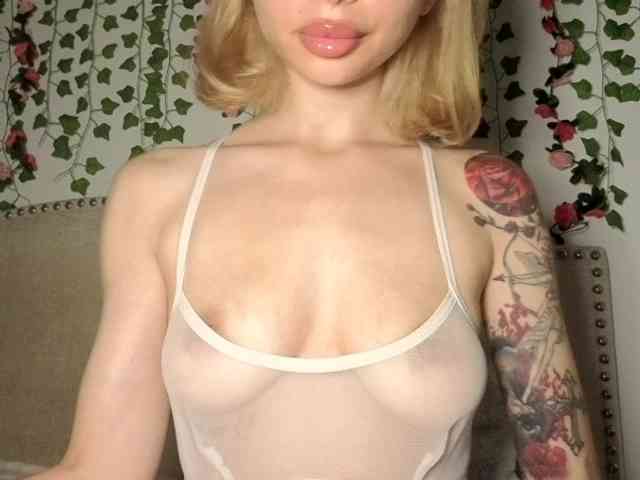 Xoxcat
