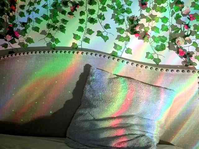 Xoxcat webcam