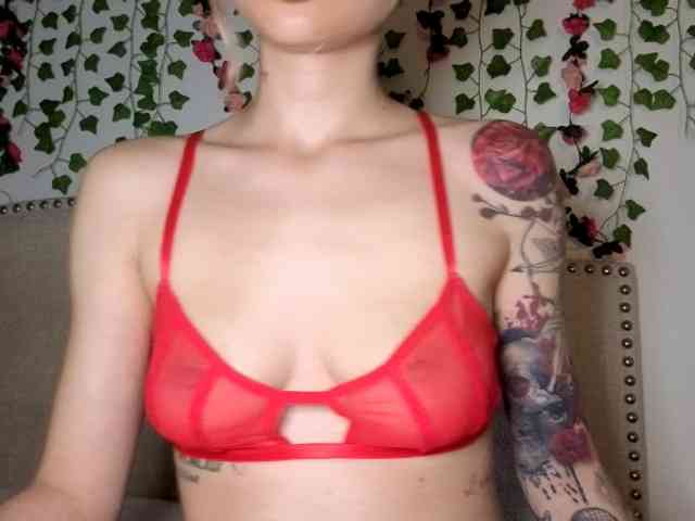 Xoxcat webcam