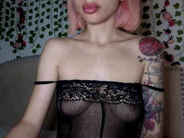 Model: Xoxcat