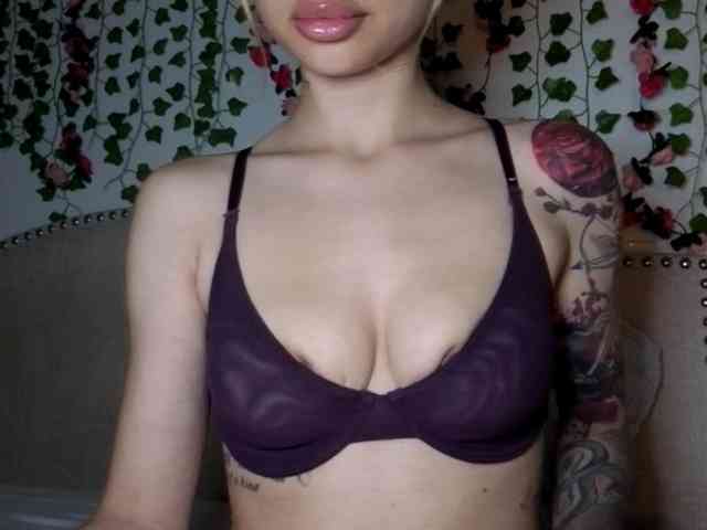 Xoxcat webcam