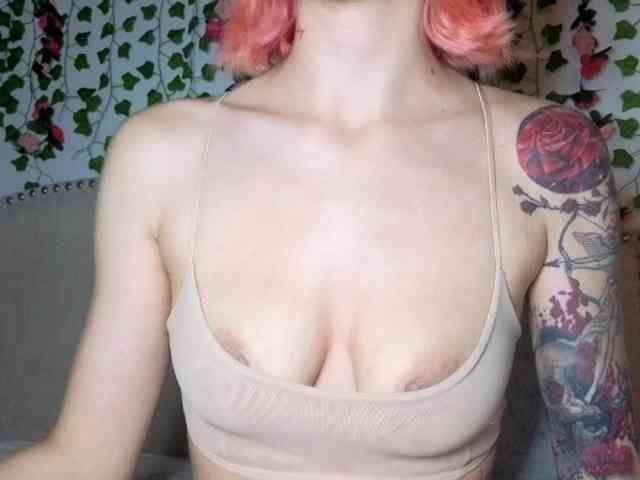 Xoxcat webcam