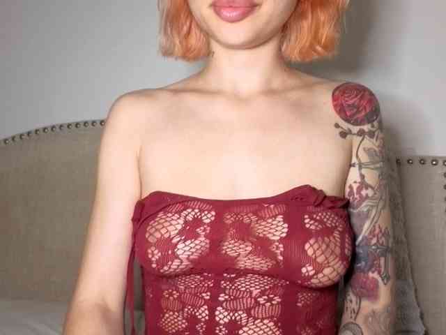 Model: Xoxcat