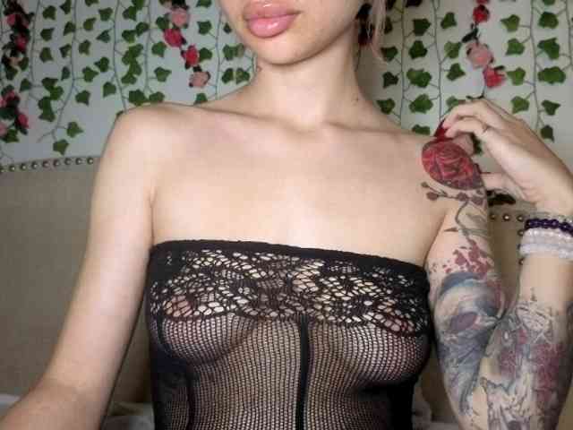 Xoxcat webcam