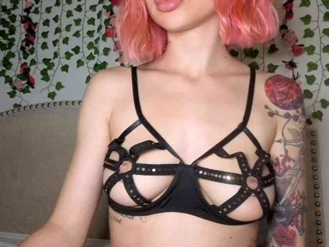 Xoxcat webcam