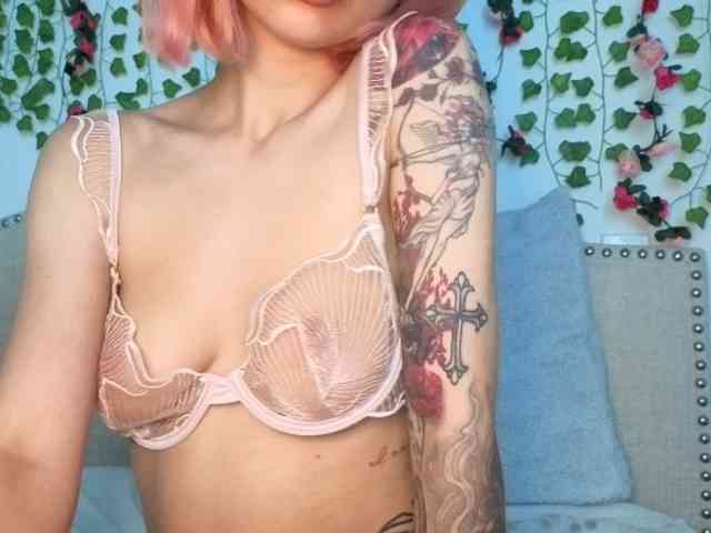 Xoxcat webcam