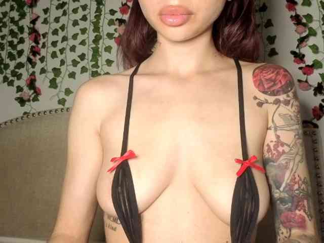 Xoxcat