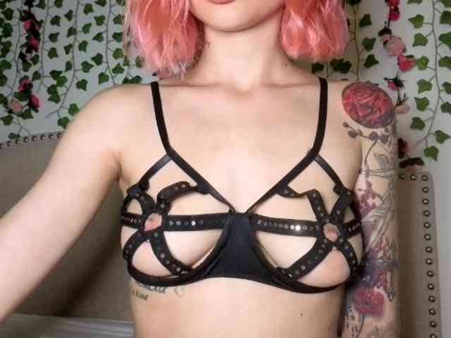 Xoxcat webcam
