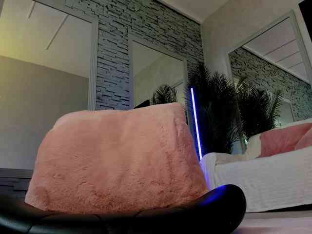 Reina-Cummings webcam