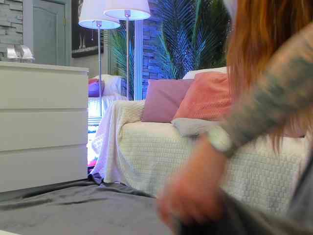 Reina-Cummings webcam