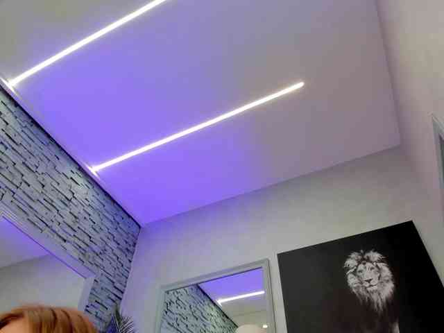 Reina-Cummings webcam
