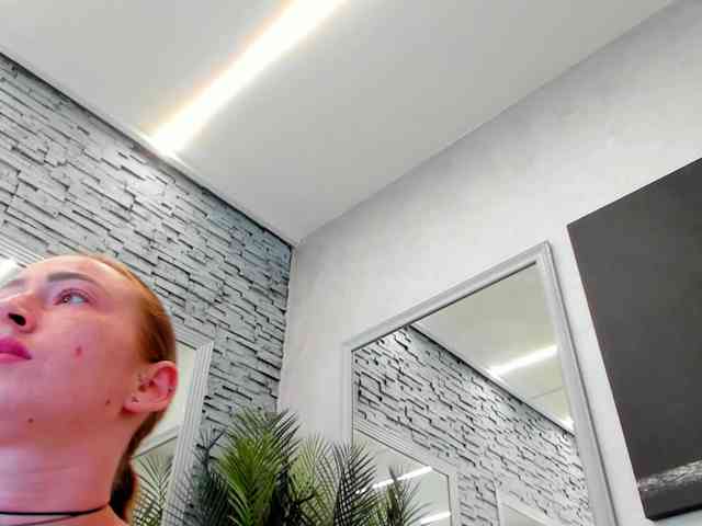 Reina-Cummings webcam