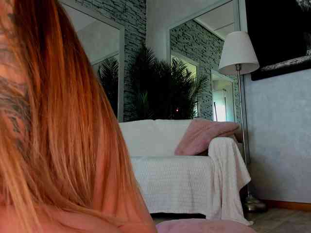 Reina-Cummings webcam