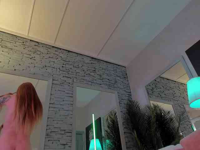 Reina-Cummings webcam