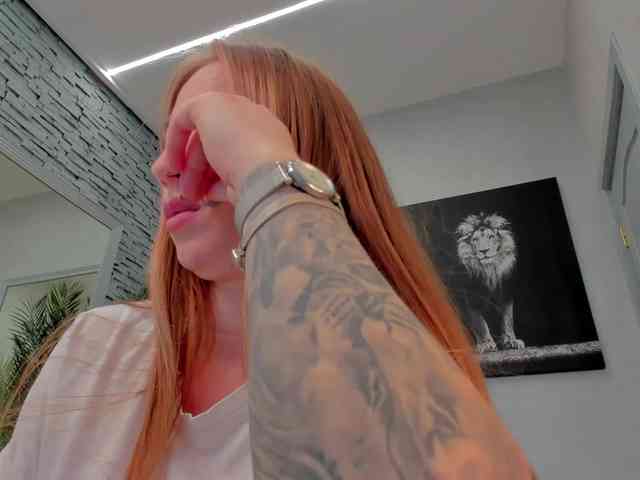 Reina-Cummings webcam