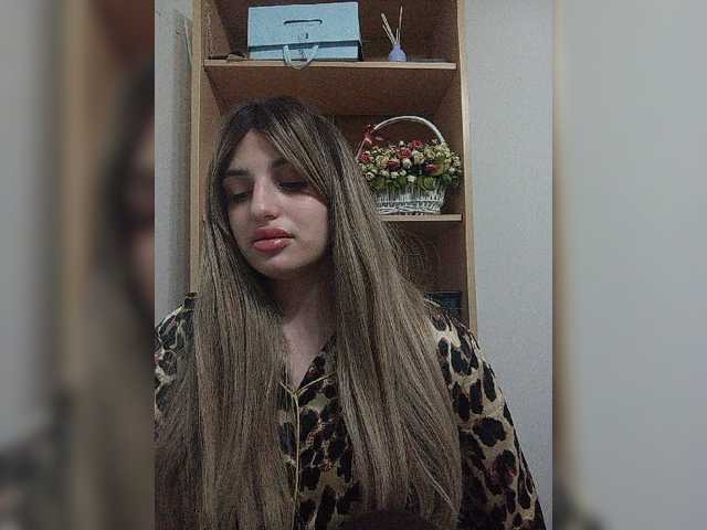 модель Sonyagasay