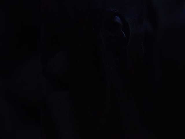 Sonyagasay live cam on BongaCams