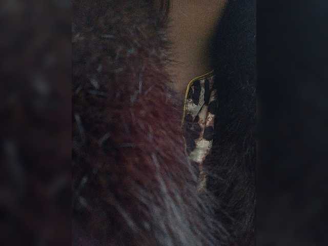Rtewevhgwgvw