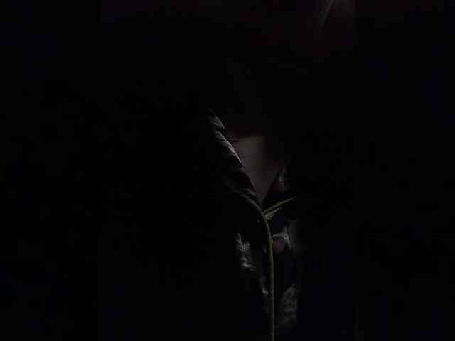 Rtewevhgwgvw webcam