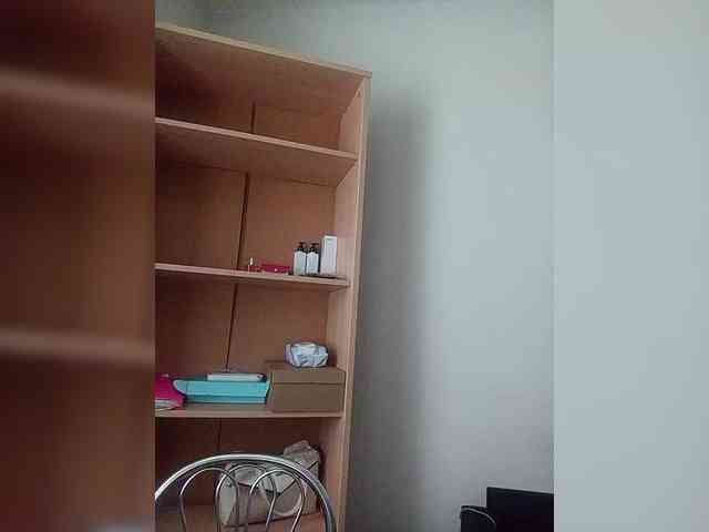 Rshsujdensay webcam