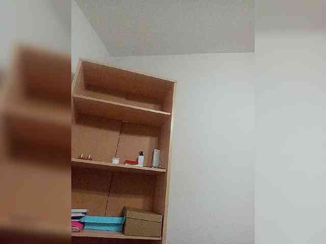 Rshsujdensay webcam
