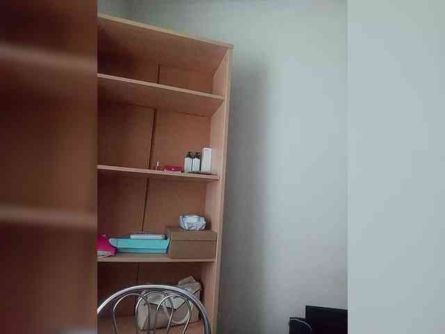 Rshsujdensay webcam