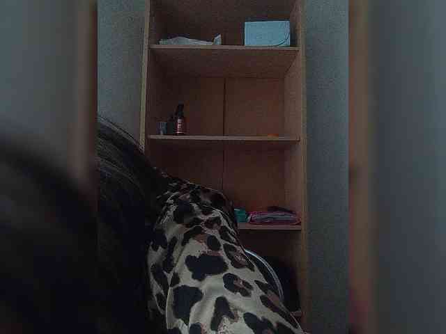 Rtewevhgwgvw webcam