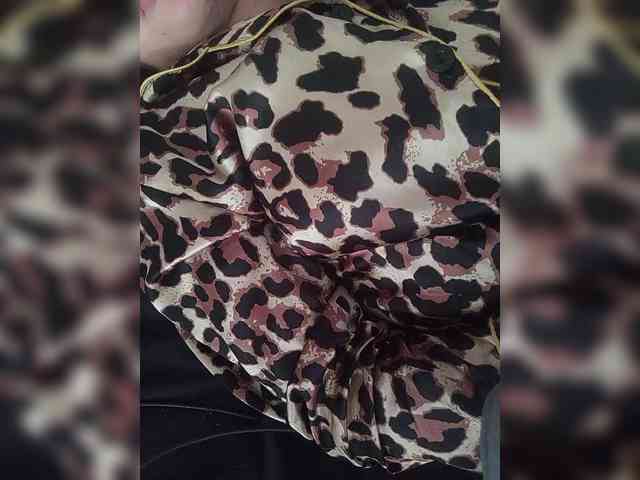 Modelo: Rtewevhgwgvw