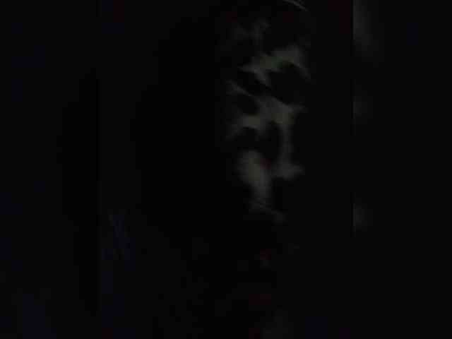 Rtewevhgwgvw webcam