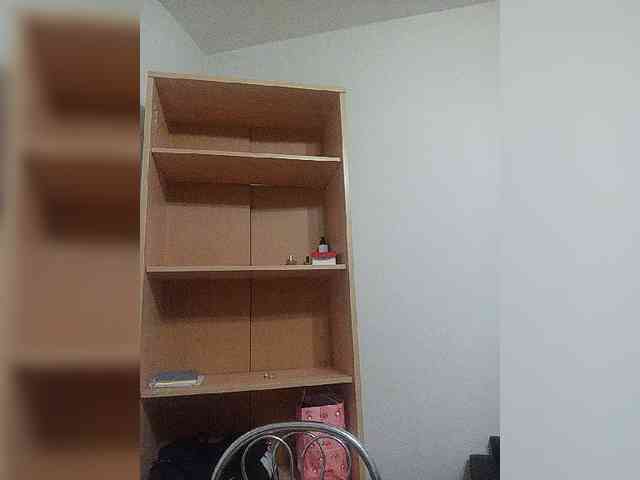 Rshsujdensay webcam