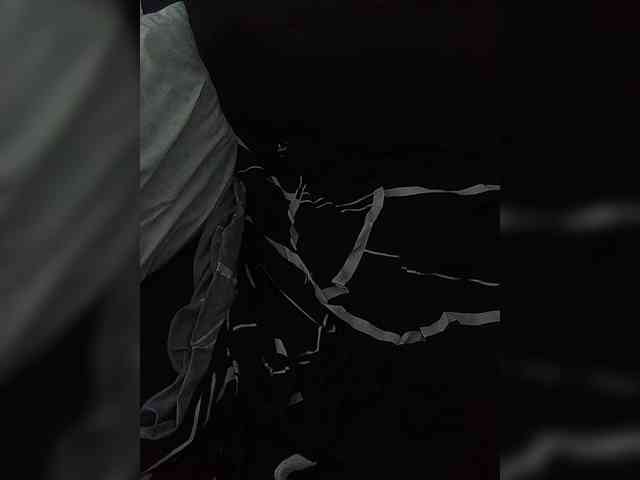 Rtewevhgwgvw webcam