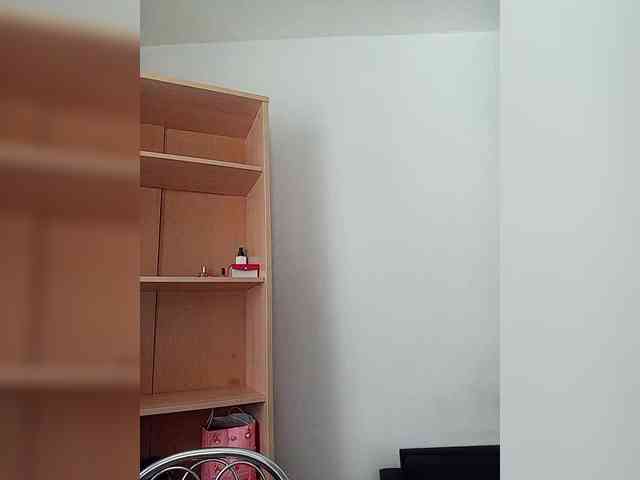 Rshsujdensay webcam